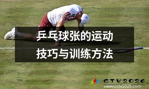 乒乓球张的运动技巧与训练方法