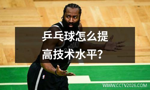 乒乓球怎么提高技术水平？