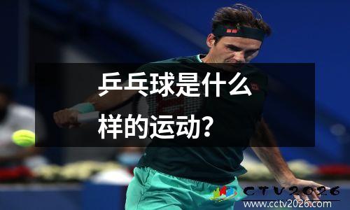 乒乓球是什么样的运动？
