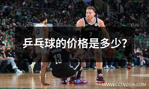 乒乓球的价格是多少？