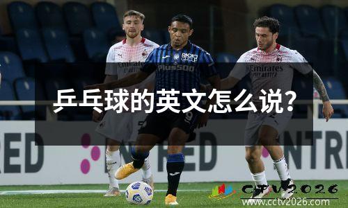 乒乓球的英文怎么说？