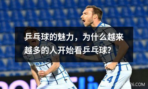乒乓球的魅力，为什么越来越多的人开始看乒乓球？