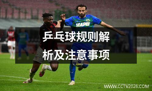 乒乓球规则解析及注意事项