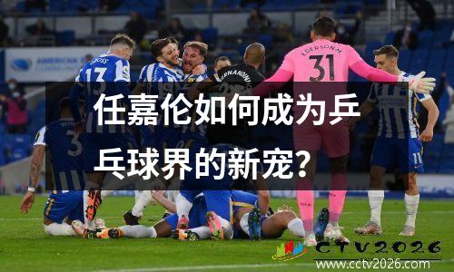 任嘉伦如何成为乒乓球界的新宠？