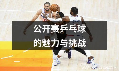 公开赛乒乓球的魅力与挑战