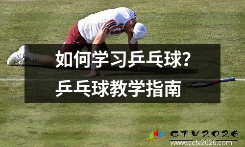 如何学习乒乓球？乒乓球教学指南