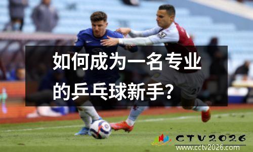 如何成为一名专业的乒乓球新手？