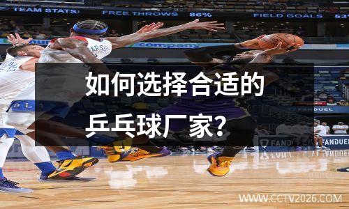 如何选择合适的乒乓球厂家？