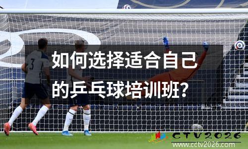 如何选择适合自己的乒乓球培训班？