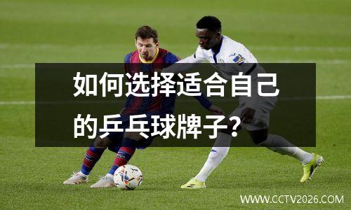 如何选择适合自己的乒乓球牌子？