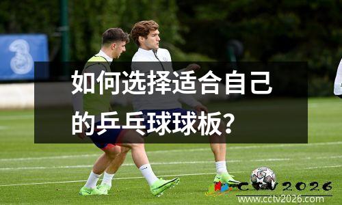 如何选择适合自己的乒乓球球板？