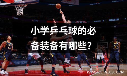 小学乒乓球的必备装备有哪些？