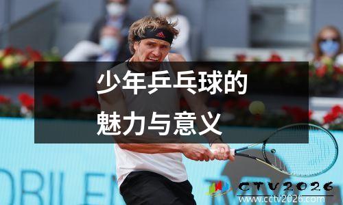 少年乒乓球的魅力与意义