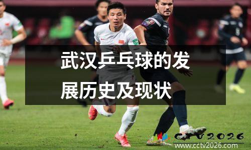 武汉乒乓球的发展历史及现状