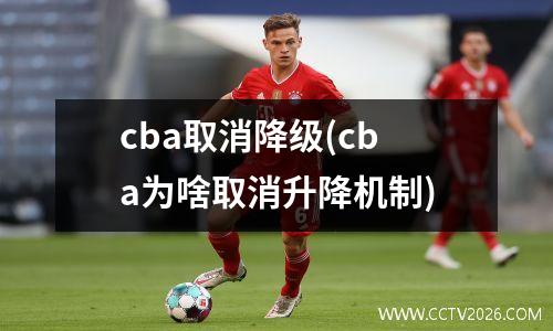 cba取消降级(cba为啥取消升降机制)