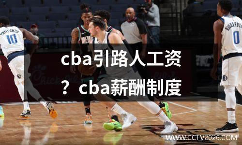 cba引路人工资？cba薪酬制度