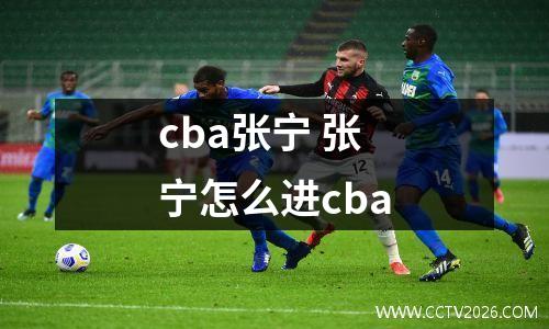 cba张宁 张宁怎么进cba