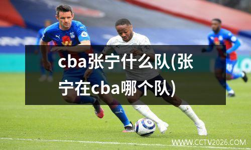 cba张宁什么队(张宁在cba哪个队)