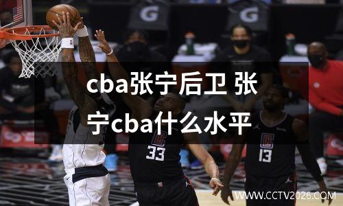 cba张宁后卫 张宁cba什么水平