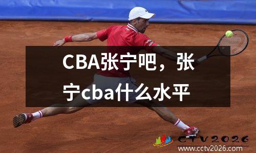 CBA张宁吧，张宁cba什么水平