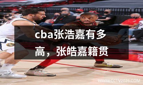 cba张浩嘉有多高，张皓嘉籍贯