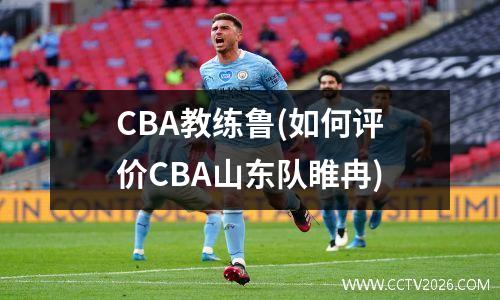 CBA教练鲁(如何评价CBA山东队睢冉)