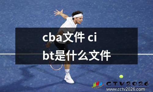 cba文件 cibt是什么文件