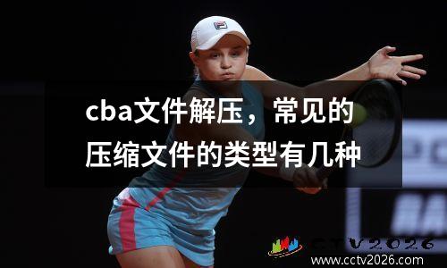 cba文件解压，常见的压缩文件的类型有几种
