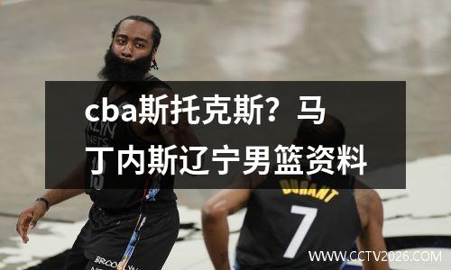 cba斯托克斯？马丁内斯辽宁男篮资料