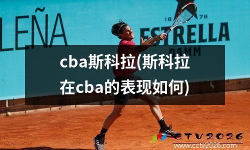 cba斯科拉(斯科拉在cba的表现如何)
