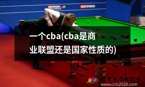 一个cba(cba是商业联盟还是国家性质的)