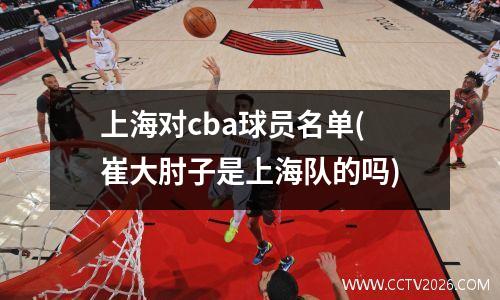 上海对cba球员名单(崔大肘子是上海队的吗)