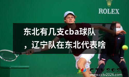 东北有几支cba球队，辽宁队在东北代表啥