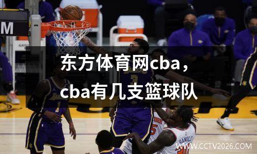 东方体育网cba，cba有几支篮球队