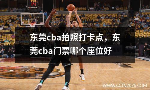 东莞cba拍照打卡点，东莞cba门票哪个座位好