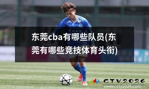 东莞cba有哪些队员(东莞有哪些竞技体育头衔)