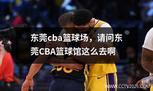 东莞cba篮球场，请问东莞CBA篮球馆这么去啊