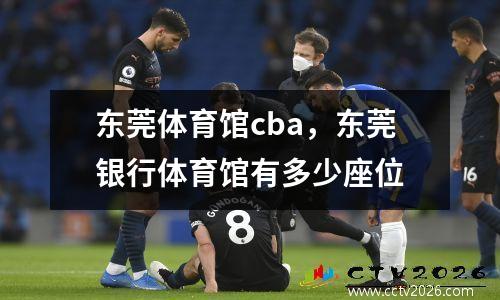 东莞体育馆cba，东莞银行体育馆有多少座位