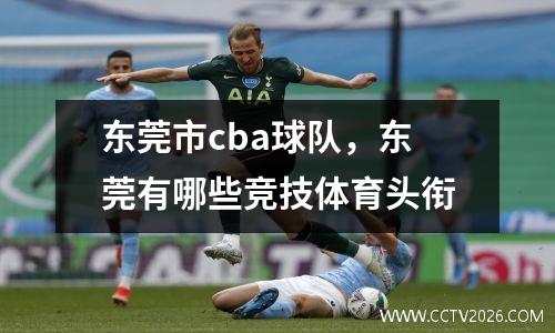 东莞市cba球队，东莞有哪些竞技体育头衔