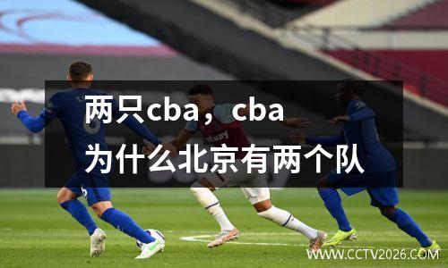 两只cba，cba为什么北京有两个队