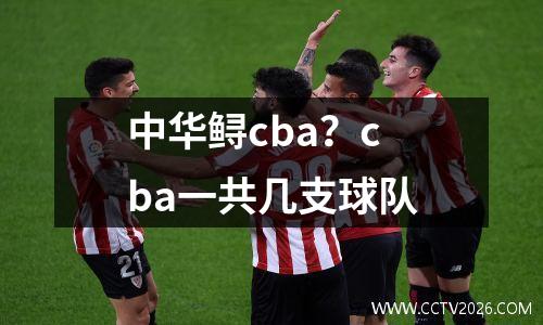 中华鲟cba？cba一共几支球队