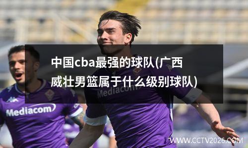 中国cba最强的球队(广西威壮男篮属于什么级别球队)