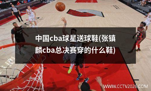 中国cba球星送球鞋(张镇麟cba总决赛穿的什么鞋)