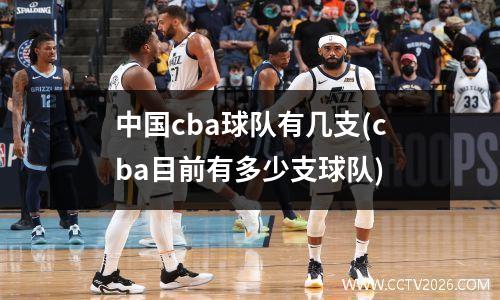 中国cba球队有几支(cba目前有多少支球队)