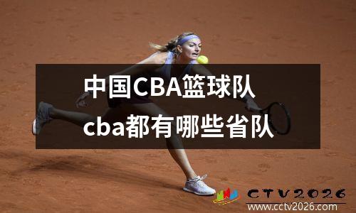 中国CBA篮球队 cba都有哪些省队