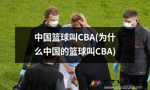 中国篮球叫CBA(为什么中国的篮球叫CBA)