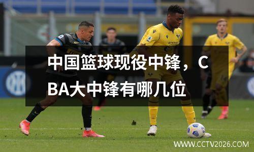 中国篮球现役中锋，CBA大中锋有哪几位