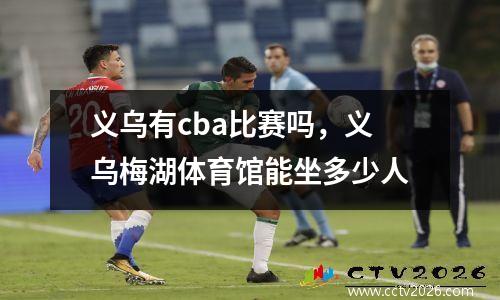 义乌有cba比赛吗，义乌梅湖体育馆能坐多少人