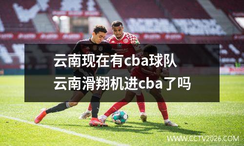 云南现在有cba球队 云南滑翔机进cba了吗