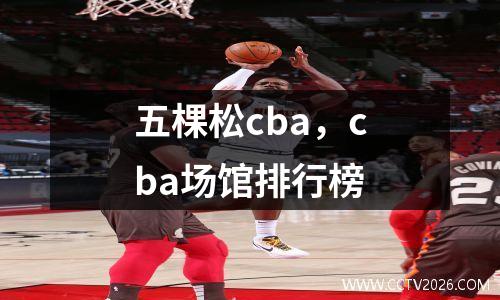 五棵松cba，cba场馆排行榜